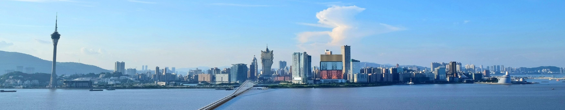 公司背景