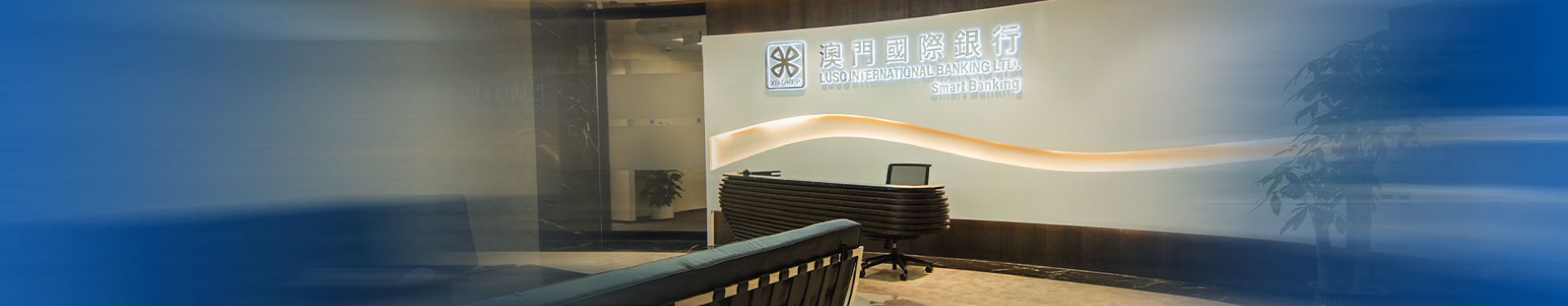 公司背景
